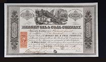 Bergen Oil & Coal Co.